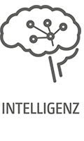 Icon_Intelligenz_web