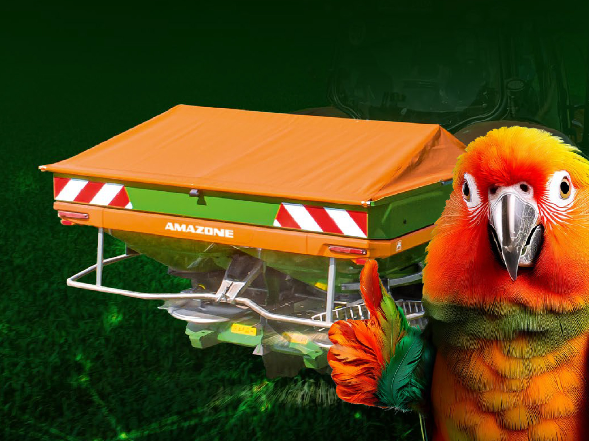 Early Bird Teaser-bild