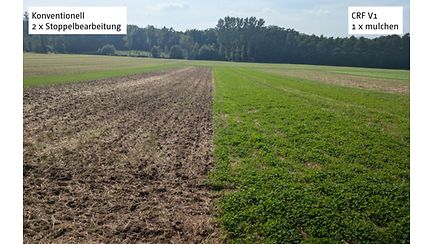 Controlled Row Farming