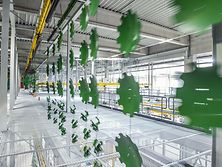 Lackieranlage_Altmoorhausen_d0_kw_0209_d1_201116